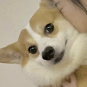 别赶路去感受路