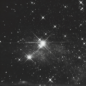 Stay the Night