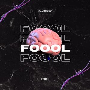 Fool (feat. Xodah)