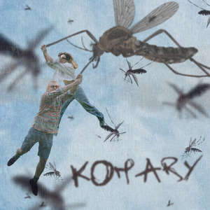 Komary