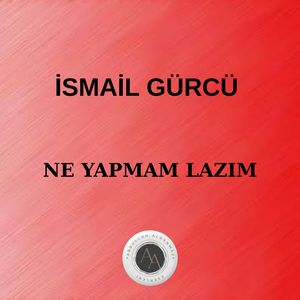 Ne yapmam lazım