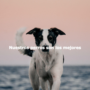 Chilled (Chill Nights)