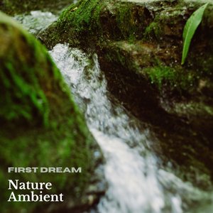 Nature Ambient, No. 291