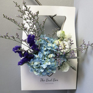 에린지움 Eryngium