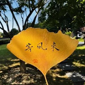 等风来