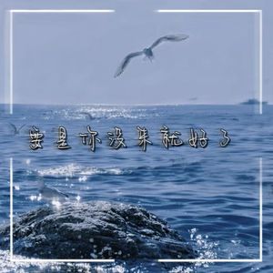 要是你没来就好了 - 陈姝婷