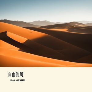 自由的风