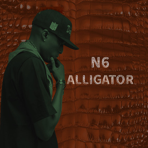 Alligator