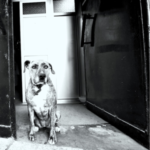 She’s Blonde And She Says Uau A Lot