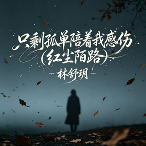 只剩孤单陪着我感伤(红尘陌路)