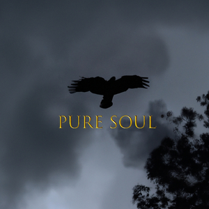 Pure Soul (Tonschleifer Remix)