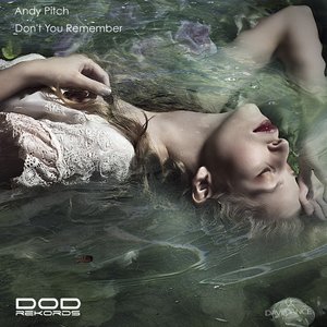 Don't You Remember (Andy Pitch Remix)