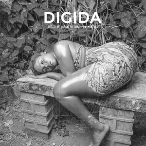 Digida