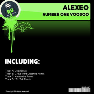 Number One Voodoo (T.I.Tek Remix)