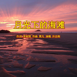 月光下的海滩