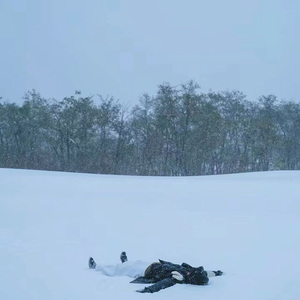 梧桐树下的约定 钢琴曲