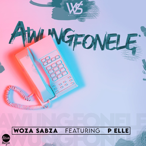 Awungfonele (feat. P Elle)