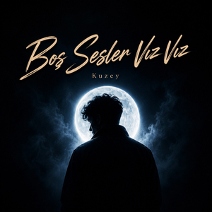 Boş sesler vız vız