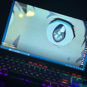 鸟之诗（中式梦核）