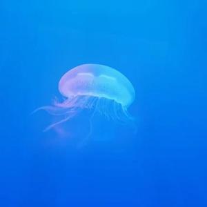 冥想音乐 呼吸之间