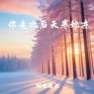 你走之后天寒地冻