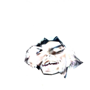 Somewhere in the Dark