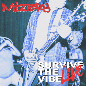 Survive the Vibe