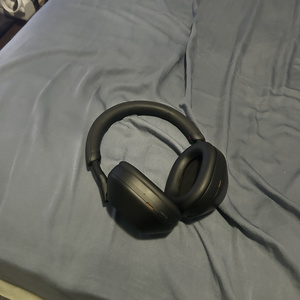 Don’t Wanna Be Without You