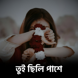 তুই ছিলি পাশে
