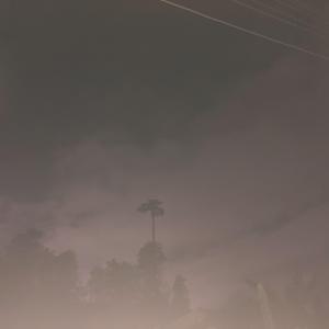 深夜失控3