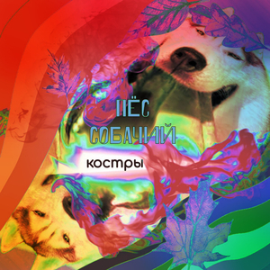 Костры