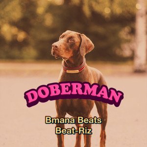 Doberman