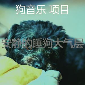温和幼犬梦想