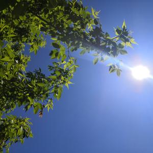 我是，你是(cover 陈旭阳)