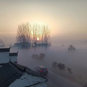 让我做你的眼睛