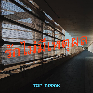 รักไม่มีเหตุผล