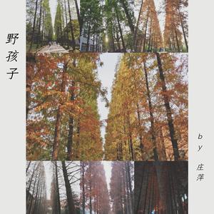 野孩子