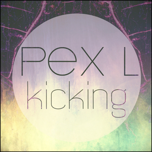 Kicking (Original Mix)