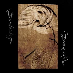 In Velerlei Verschijning