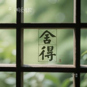舍得(Cover 大头针)