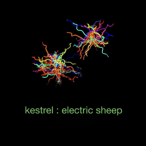 Electric Sheep