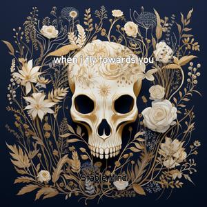 when i fly towards you