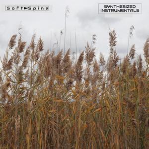 DEATH, RESPAWN (INSTRUMENTAL)