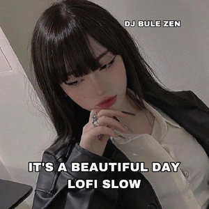IT'S A BEAUTIFUL DAY LOFI SLOW