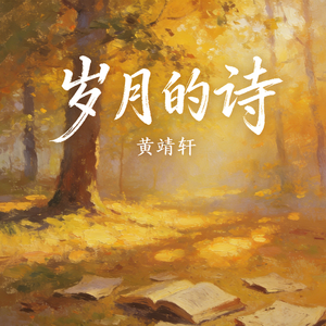 岁月的诗