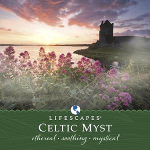 Clannad-Down By the Salley Gardens（Oturans remix）