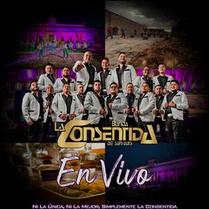 Cumbias (Peligrosa/El Venao)