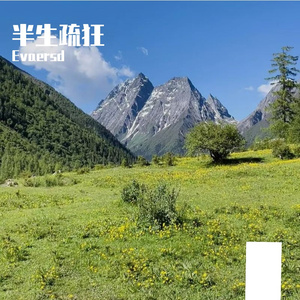 半生疏狂