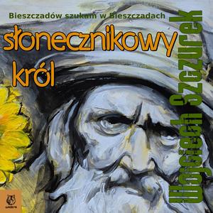 Wciąż ich szukam