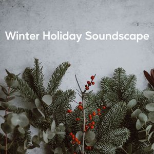Tranquil Frost Soundscape Flow